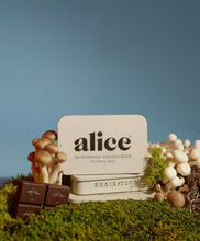 Load image into Gallery viewer, Brainstorm — mushroom chocolate supplement for focus
