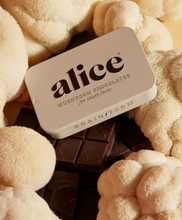 Load image into Gallery viewer, Brainstorm — mushroom chocolate supplement for focus
