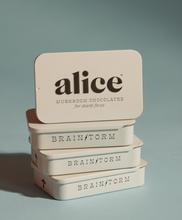 Load image into Gallery viewer, Brainstorm — mushroom chocolate supplement for focus
